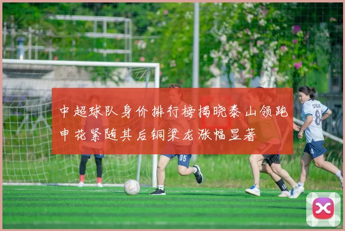 中超球队身价排行榜揭晓泰山领跑申花紧随其后铜梁龙涨幅显著