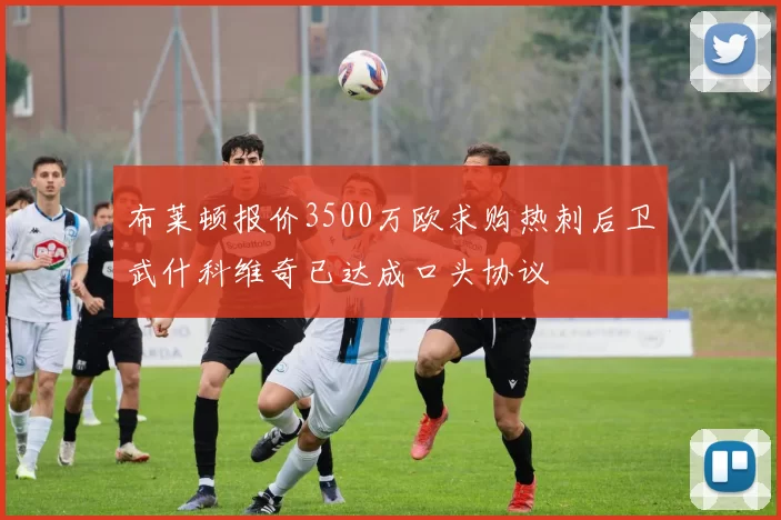 布莱顿报价3500万欧求购热刺后卫武什科维奇已达成口头协议