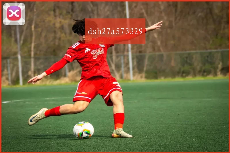 dsh27a573329