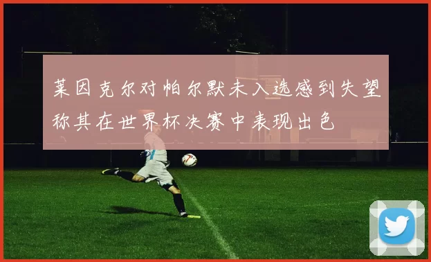 莱因克尔对帕尔默未入选感到失望称其在世界杯决赛中表现出色